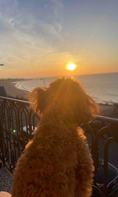 The Terrace At Westbrook - Pet Friendly *